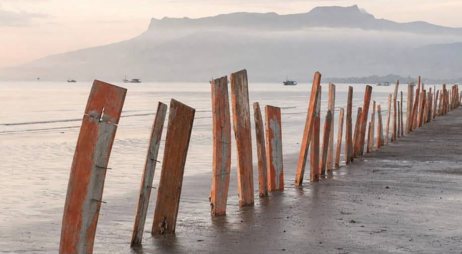 Upright boat planks standing in a line along the water’s edge